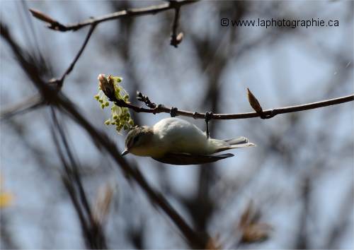 Photo � contre-jour qui sous expose le sujet