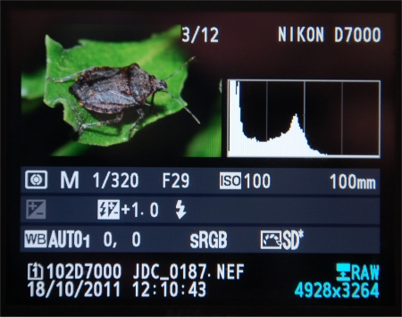 Photo de l'histogramme d'une Nikon D7000