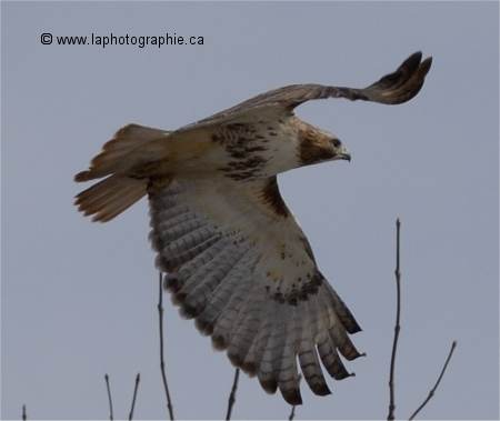 Photo de buse prise sans correction de l'exposition