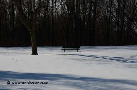 Photo d'hiver ensoleill� prise normalement qui est sombre