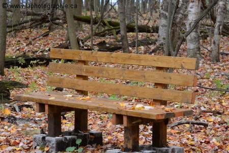 Photo de ce qui est cadr� pour la photographie